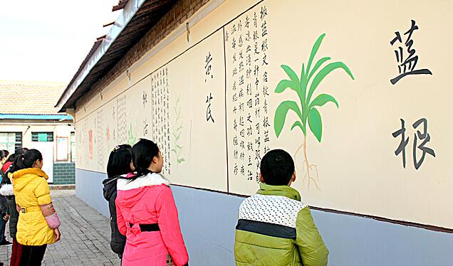 甘肅省慶陽市慶城縣南莊九年制學(xué)校建起中藥知識(shí)文化墻