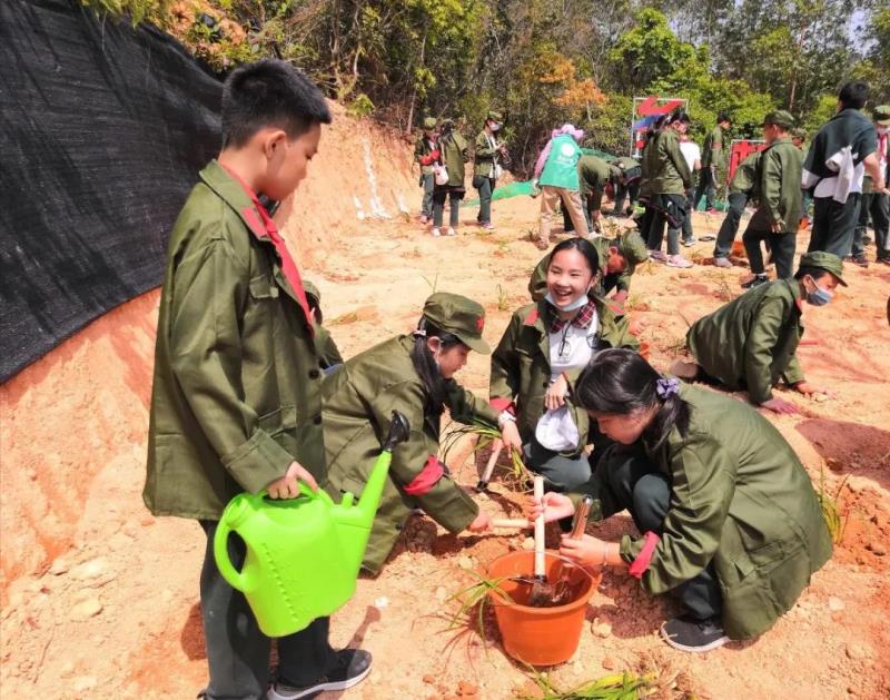 勞動實踐：種植萱草